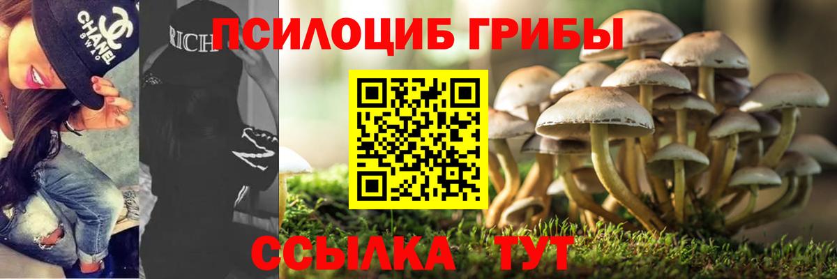 Галлюциногенные грибы Cubensis  Вход с VPN  Дятьково 